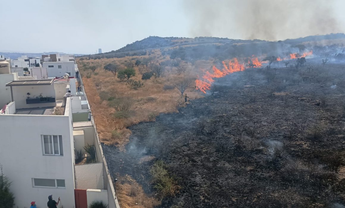 Hect Reas De Pastizal Se Consumen En El Marqu S