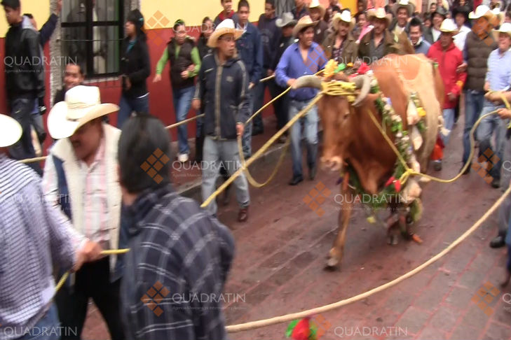 https://queretaro.quadratin.com.mx/www/wp-content/uploads/2016/01/paseo-del-buey-estrella-2.jpg