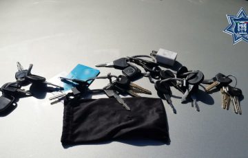 Capturan a banda dedicada al robo de autos en La Pradera - Quadratín Querétaro