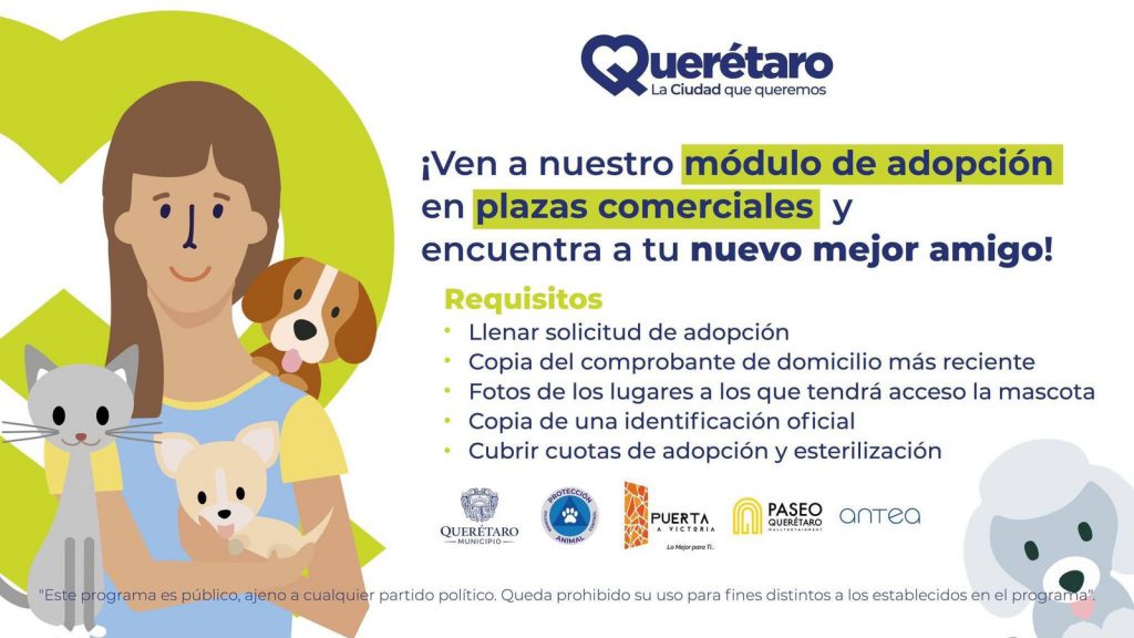 Módulo de adopción de mascotas llega este fin a Paseo Querétaro