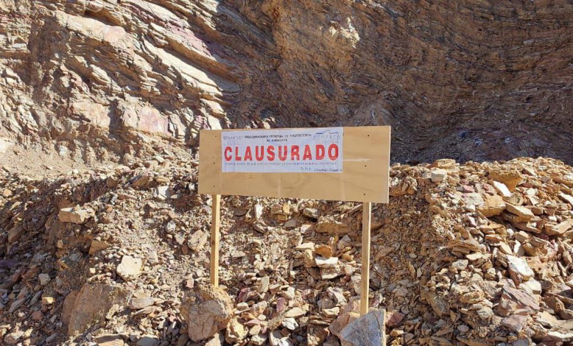 Clausura Profepa Predio Por Cambio De Uso De Suelo Sin Permiso