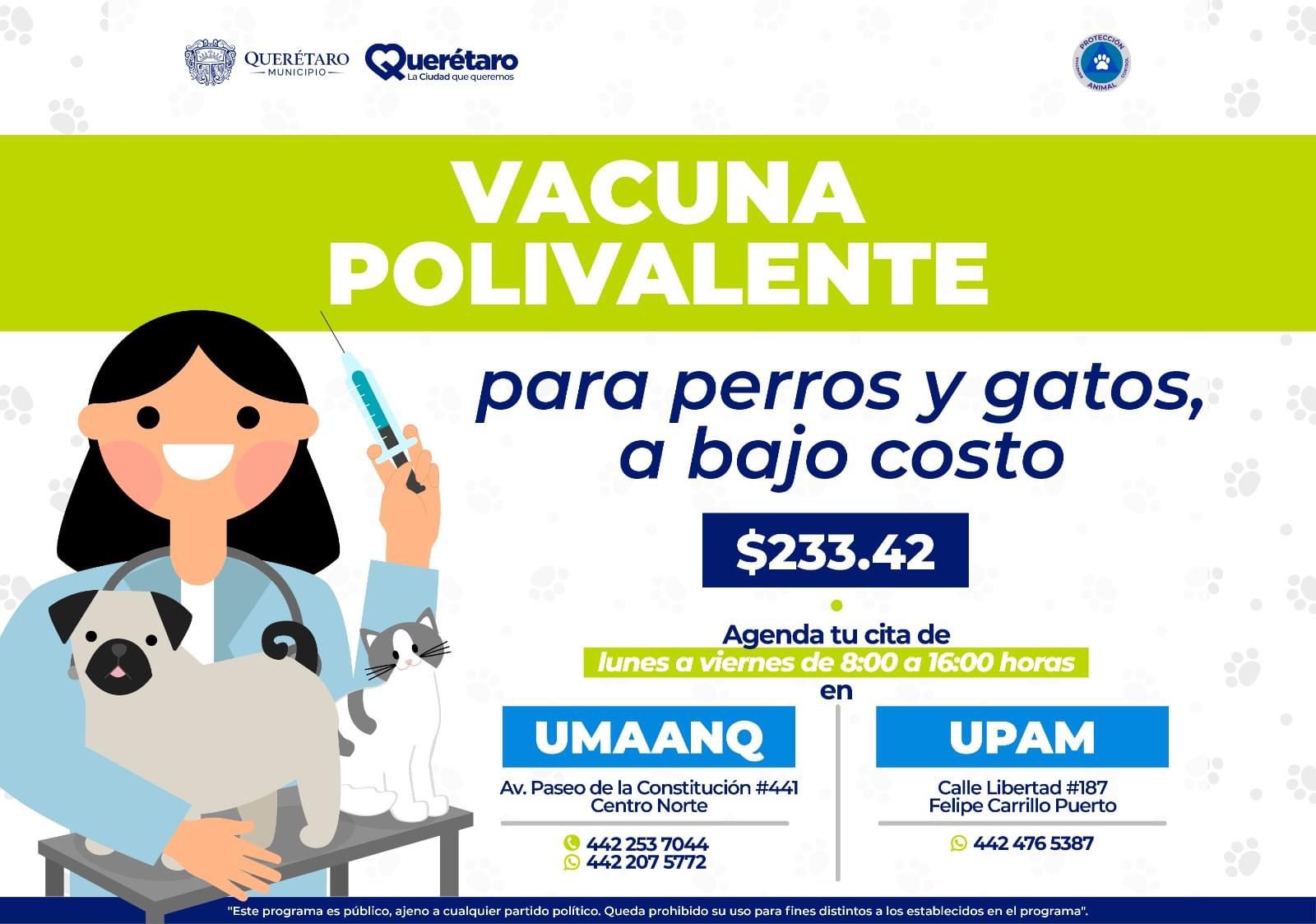 Affordable Polyvalent Vaccine for Dogs and Cats in Querétaro Municipal Public Services