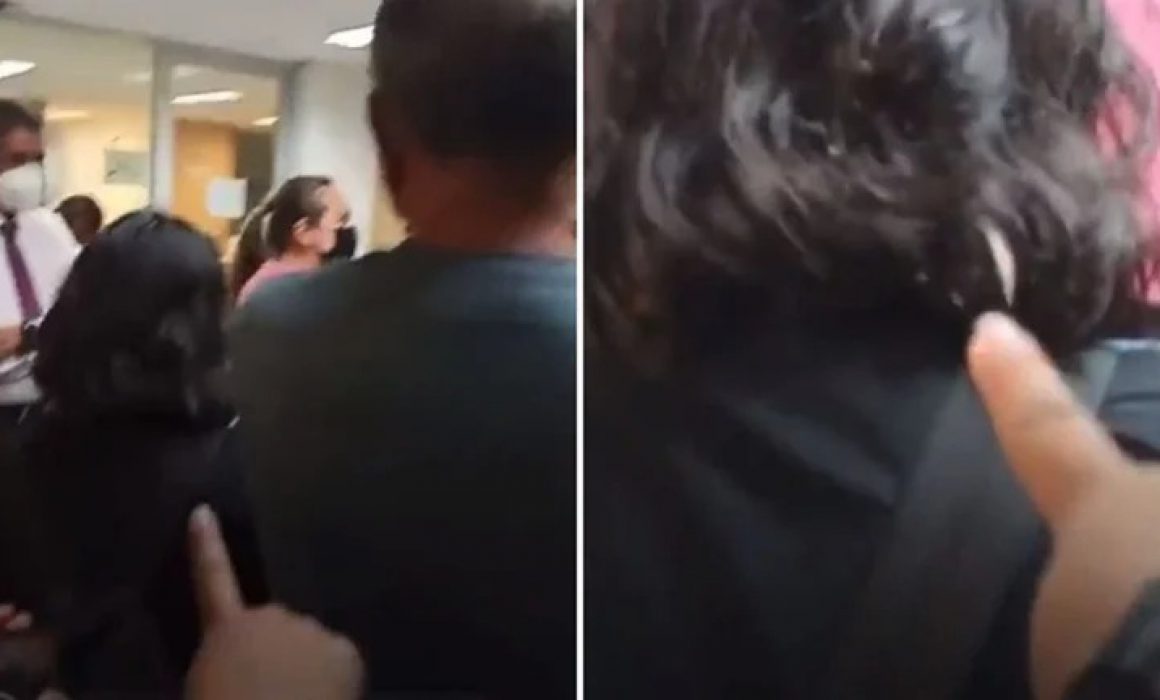 Reportan plaga de chinches en la UNAM - Quadratin Querétaro