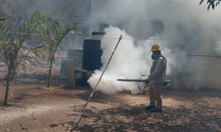 Mantiene Sesa Querétaro vigilancia epidemiológica contra el dengue
