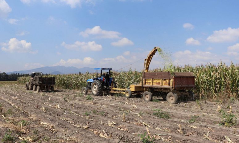 Cambio climático y sequía, desafíos para la sobrevivencia: UNAM