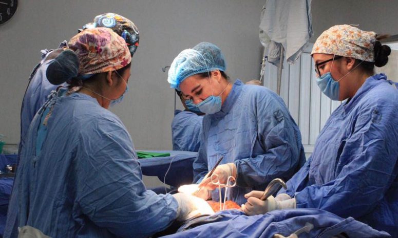 Invita Sesa Querétaro a fortalecer la cultura de la donación de órganos