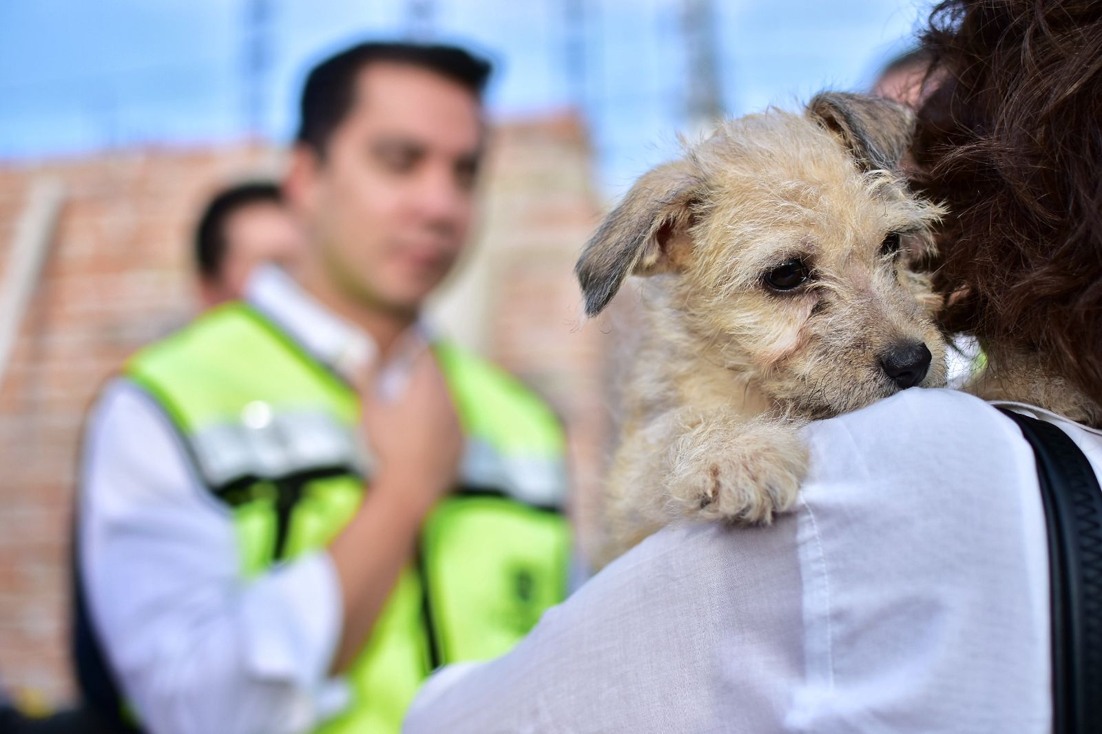 Se invierten 13 mdp en Centro Integral de Bienestar Animal de Querétaro