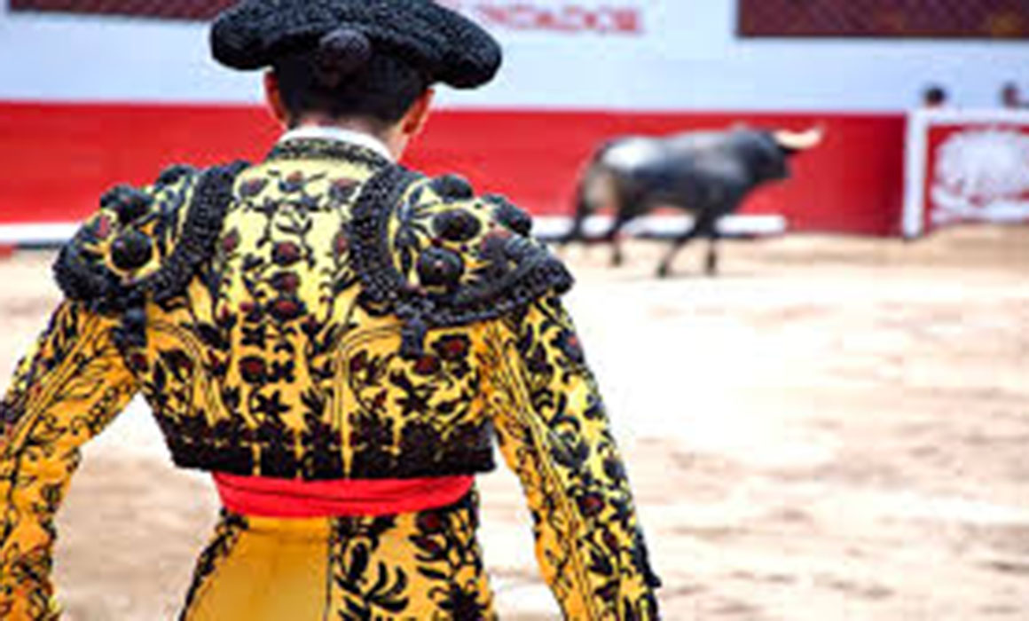 Aprueban en lo general las corridas de toros sin violencia - Quadratin ...
