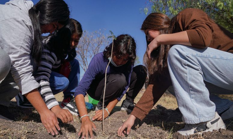 Comienza UAQ campaña de reforestación