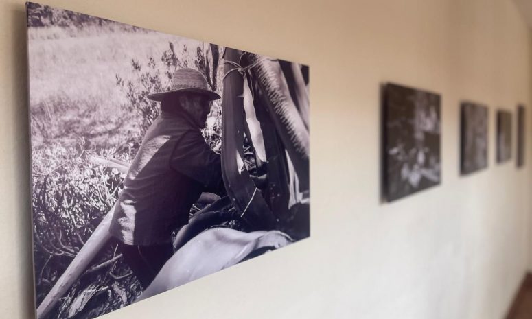 La vida en el Picacho llega al Museo de la Sierra Gorda en Jalpan