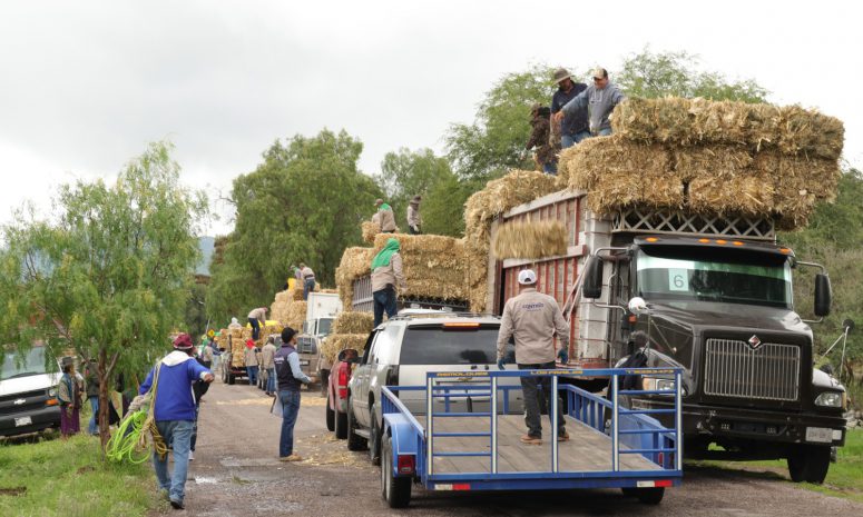 Apoyan a pequeños ganaderos con entrega de forraje en Cadereyta