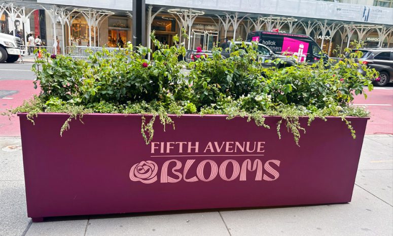 Celebra Nueva York 200 años con arreglos florales en la Quinta Avenida