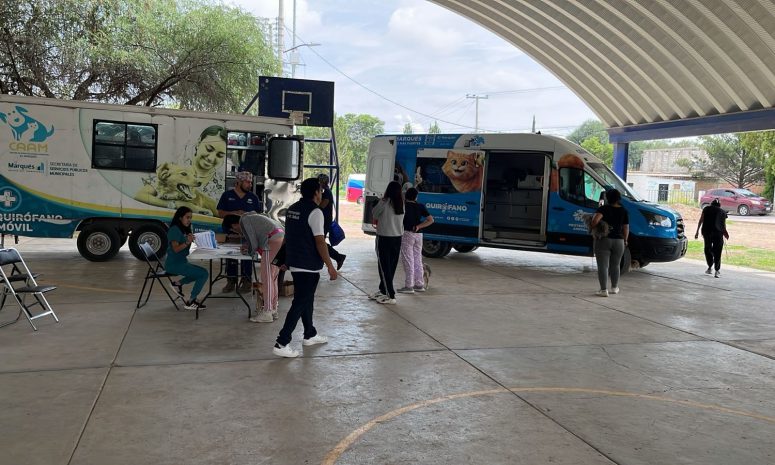 Realiza Sesa jornada de esterilización canina y felina