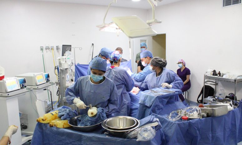 Realiza IMSS Querétaro cuarta procuración multiorgánica de 2025