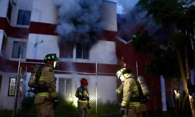 Rescatan a 2 lomitos tras incendio en El Tintero