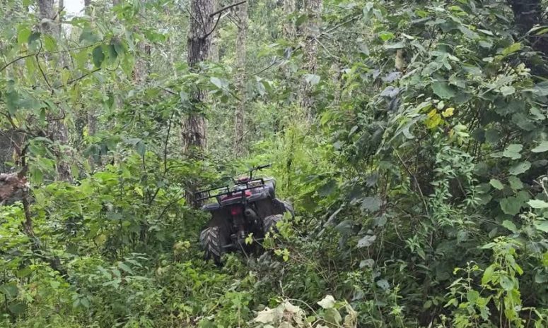 Localizan a tres menores con Alerta AMBER en zona cerril de Pinal de Amoles