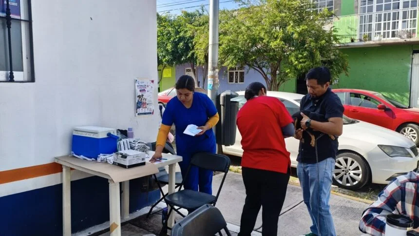 36 dogs and cats are sterilized during an animal health day