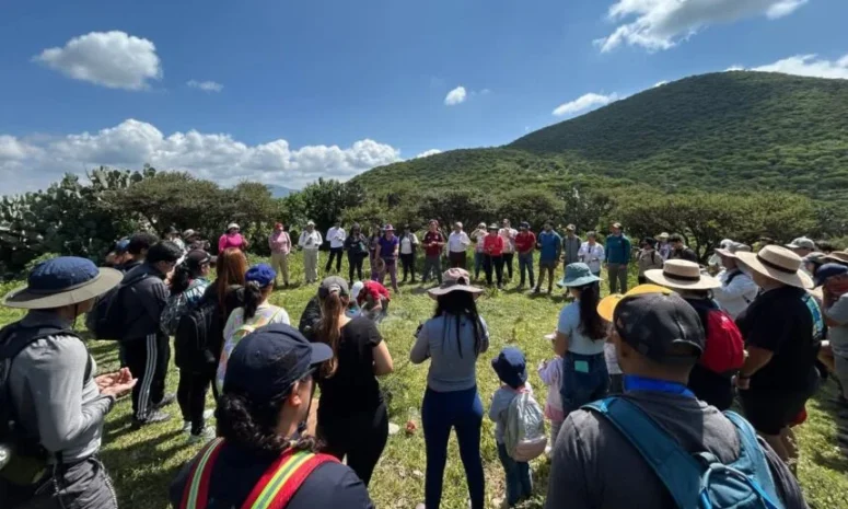 Querétaro tendrá jornadas de reforestación durante octubre