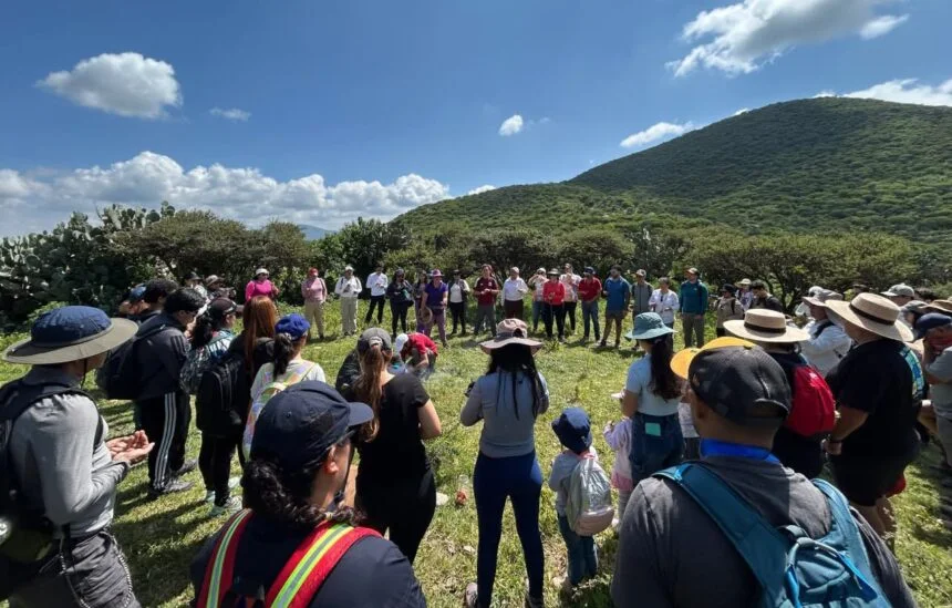 Querétaro will have reforestation days during October