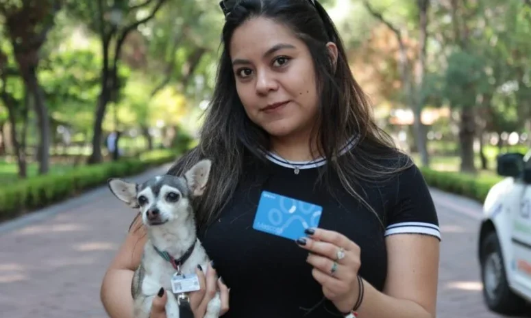 Organizan jornada para facilitar viajes con mascotas en Qrobus