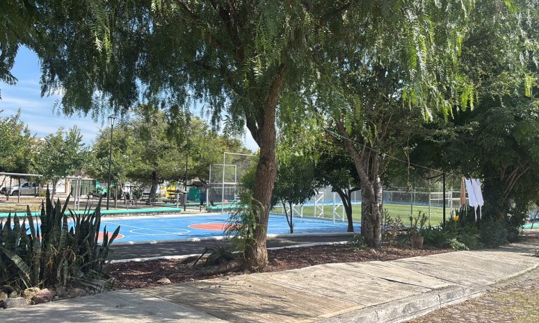 Adulta mayor muere en un parque de San José El Alto