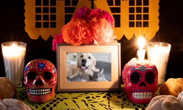 Querétaro amplía homenaje a mascotas en la Ofrenda Monumental