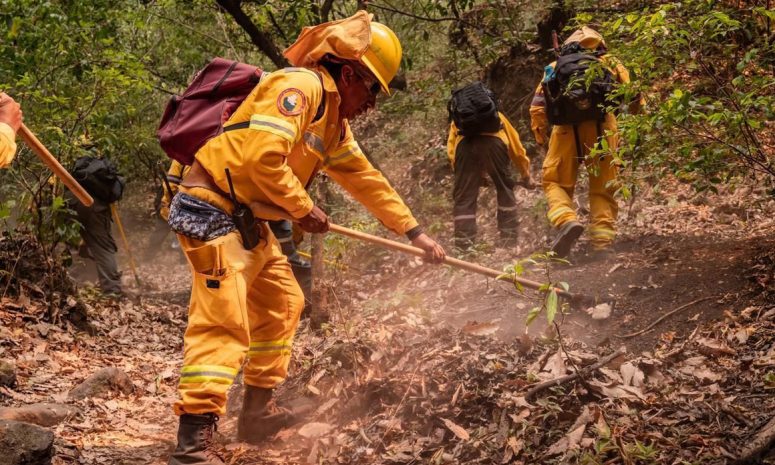 Suman más de 5 mil 462 incendios en lo que va del año en México